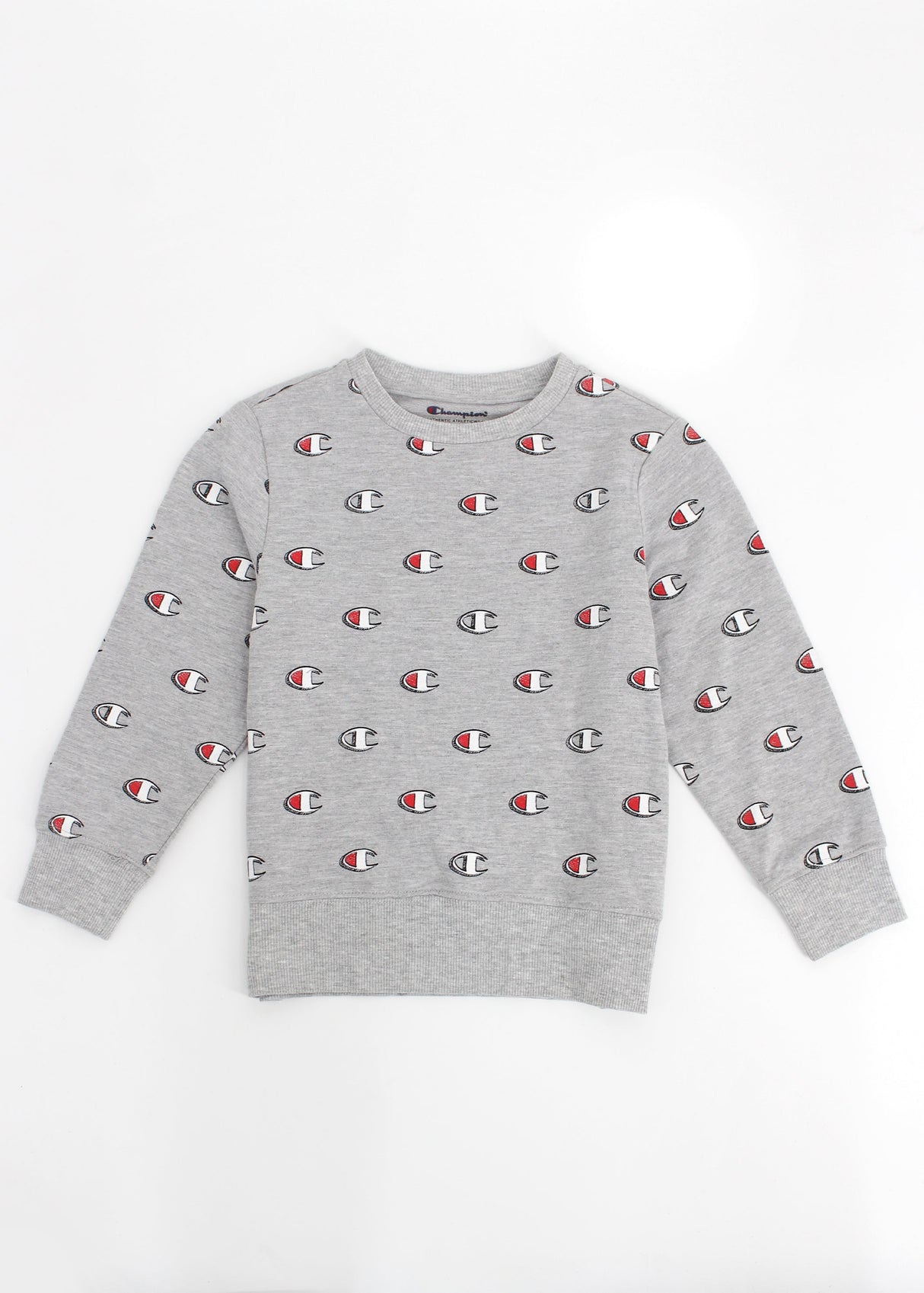 Kids Boy's Brand Logo Printed Sweatshirt,Grey