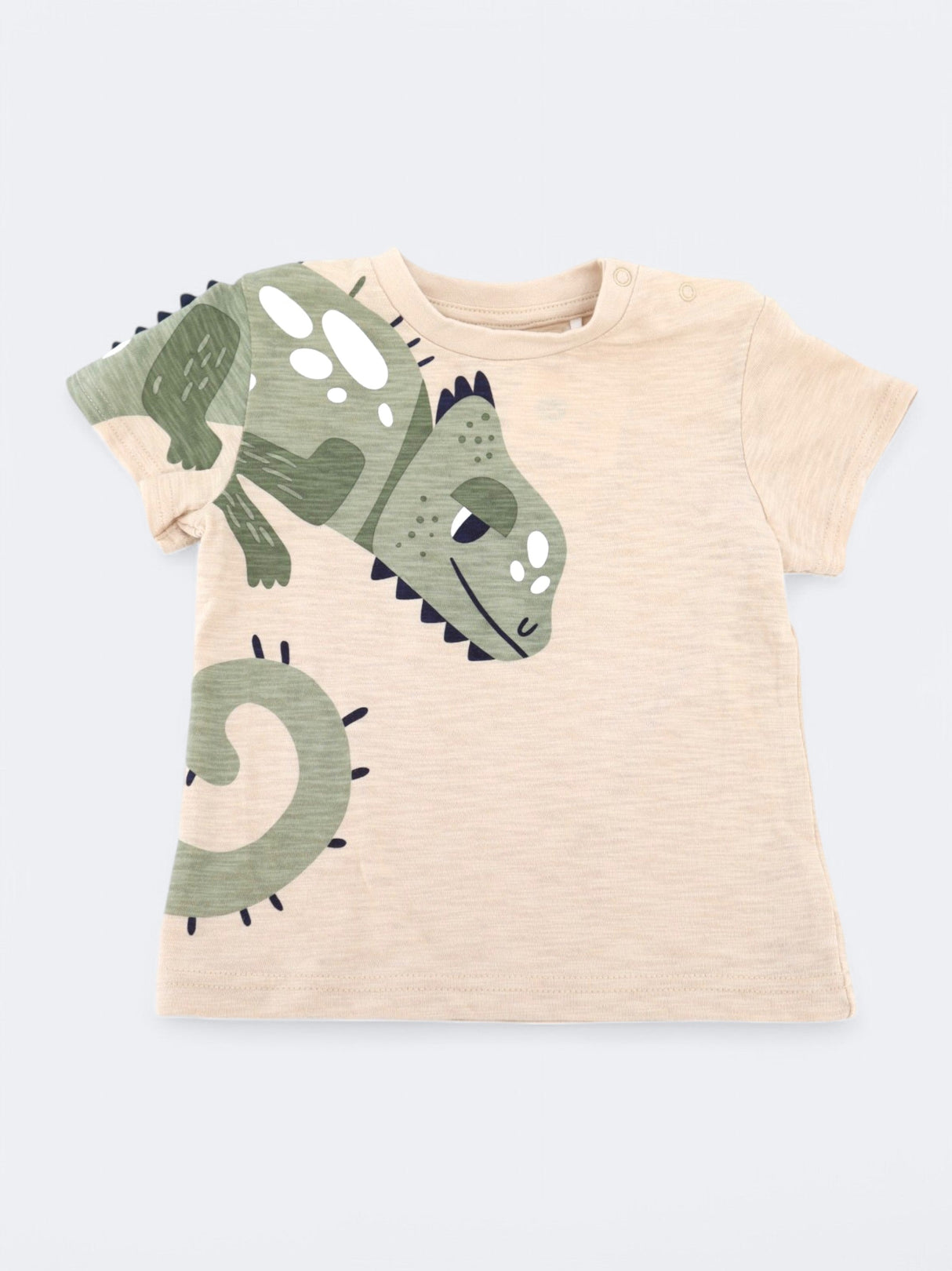 Kids Boy's Graphic Printed T-Shirt,Beige