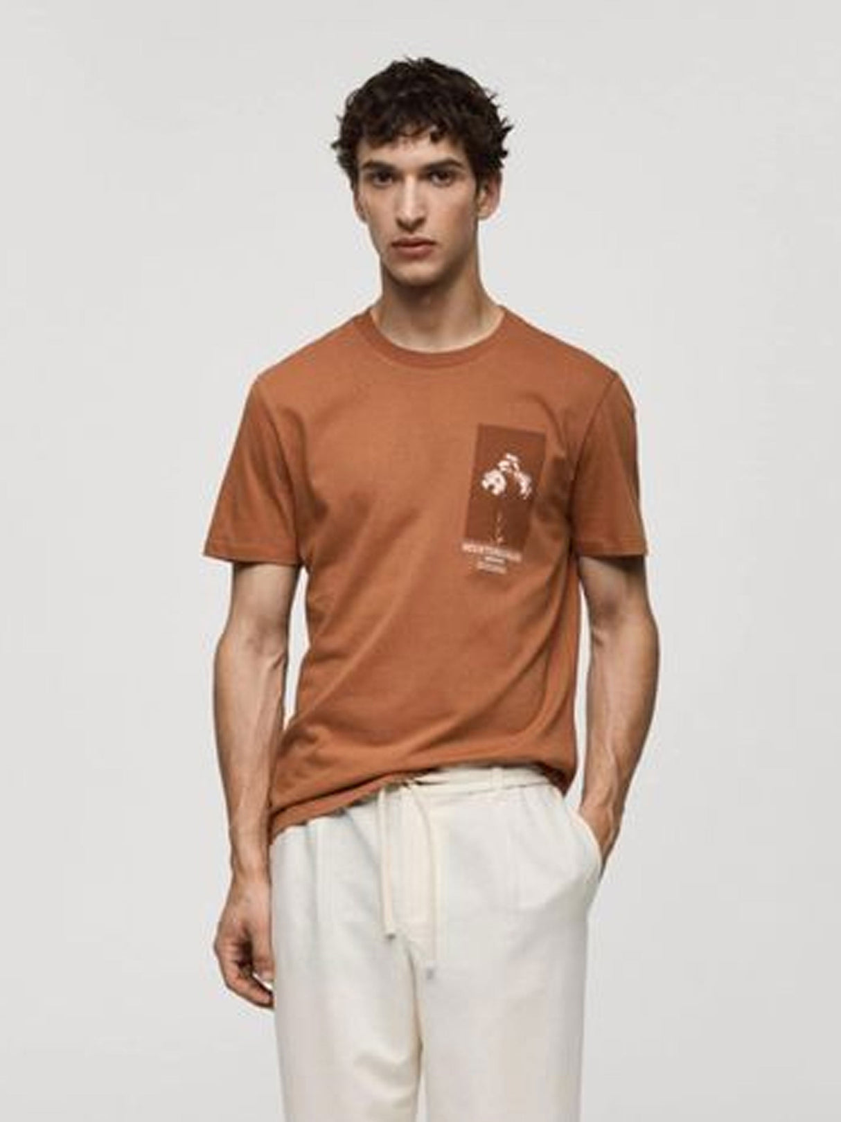 Men's Printed T-Shirt,Brown