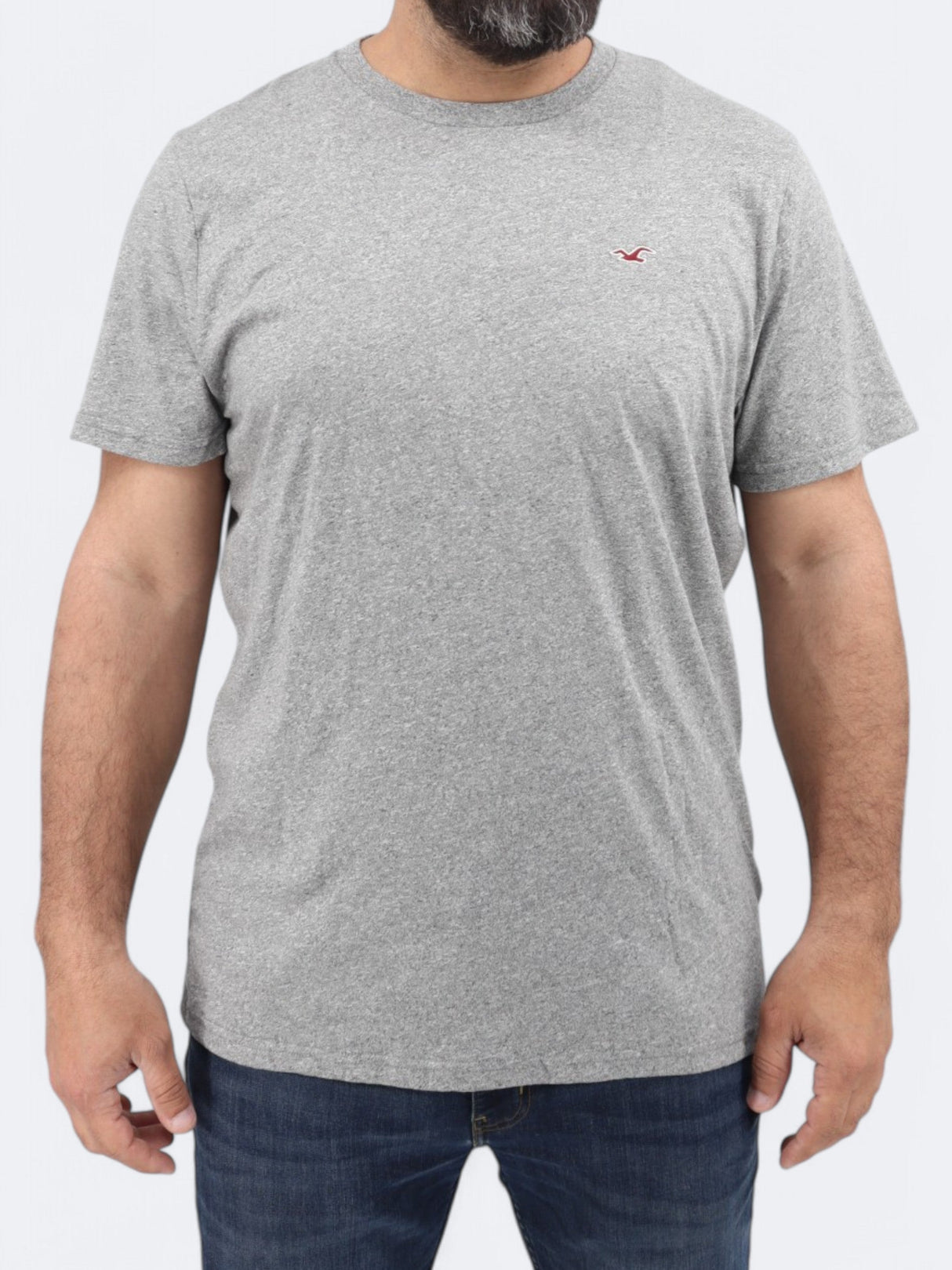 Men's Brand Logo Embroidered T-Shirt,Grey