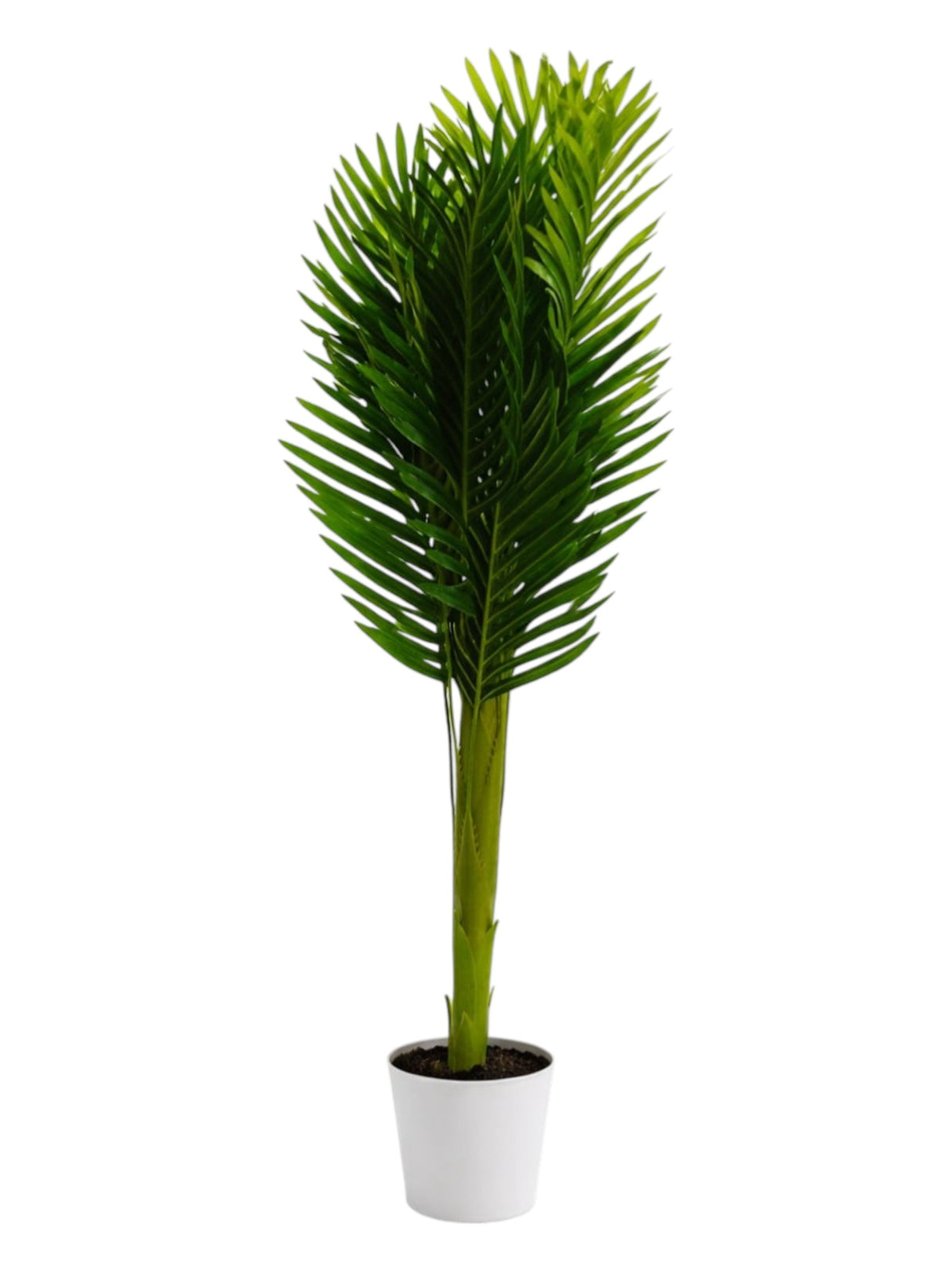 Image for Artificial Palm Plant