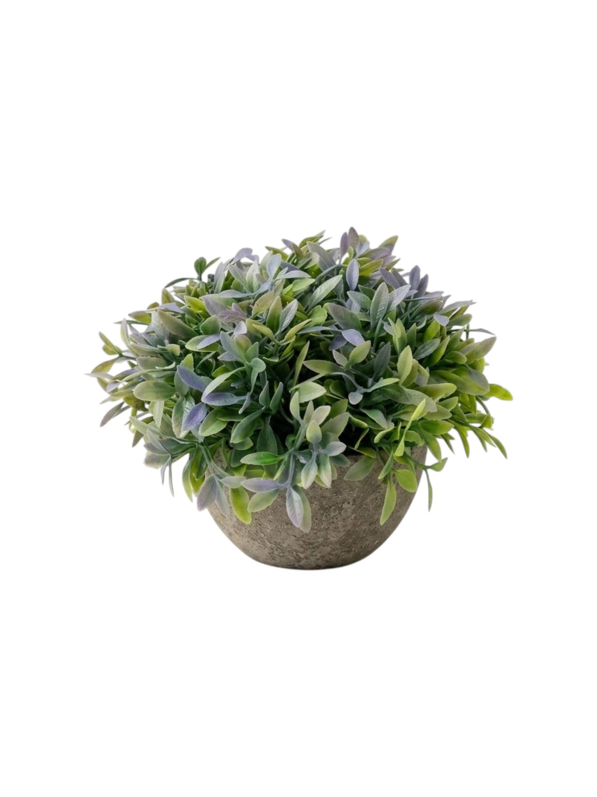 Image for Artificial Plant