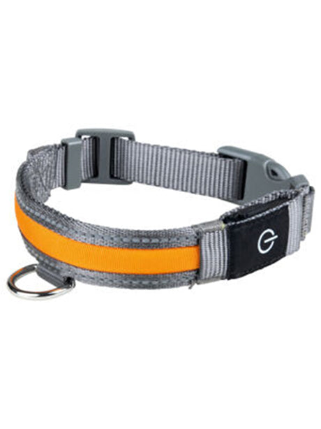 Image for Dog Collar