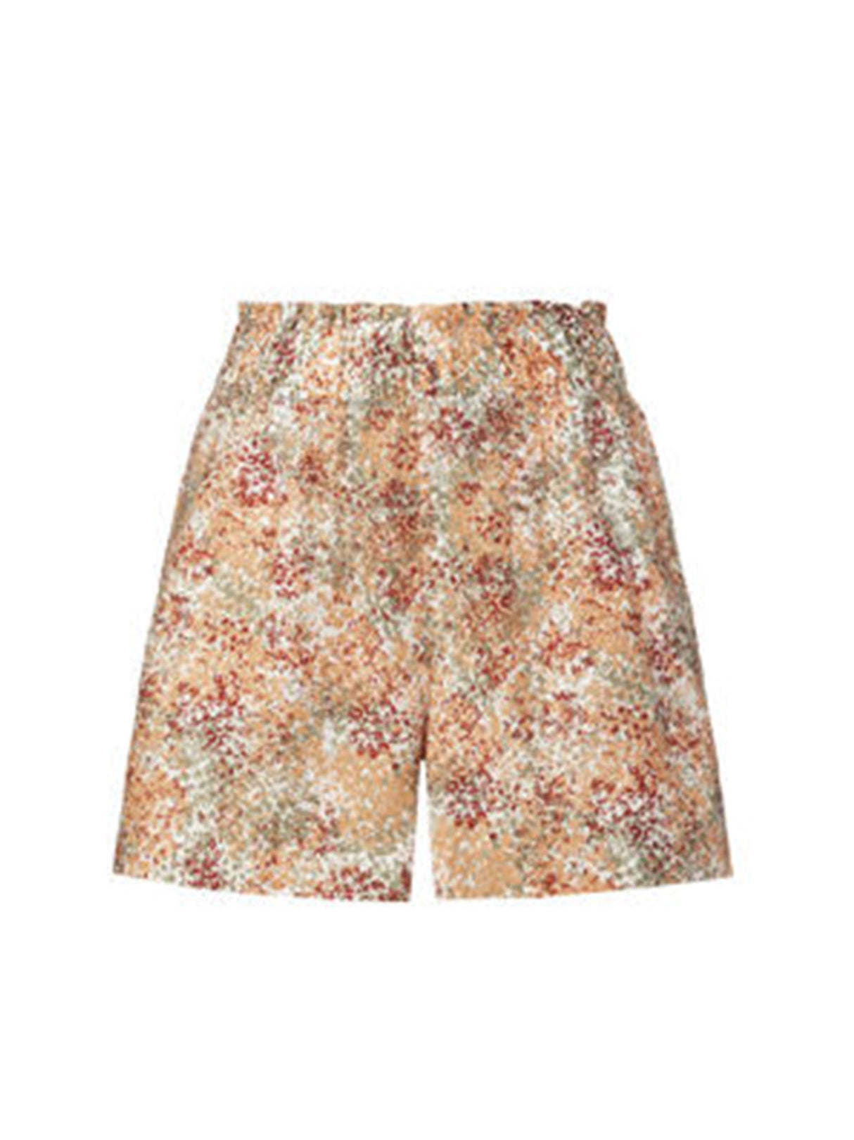 Women's Printed Shorts,Multi