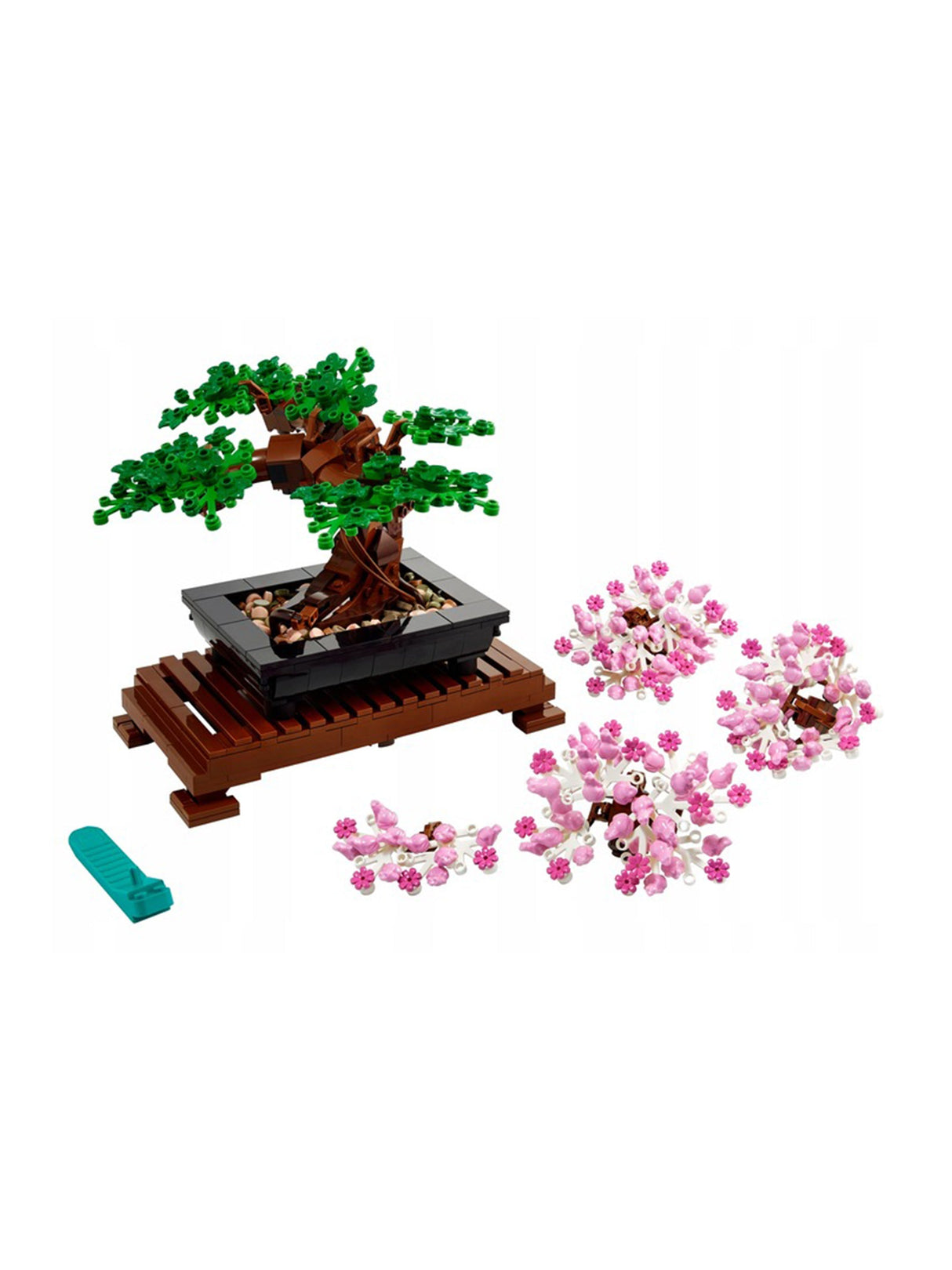 Image for Bonsai Tree