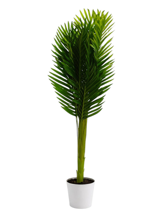 Image for Artificial Palm Plant