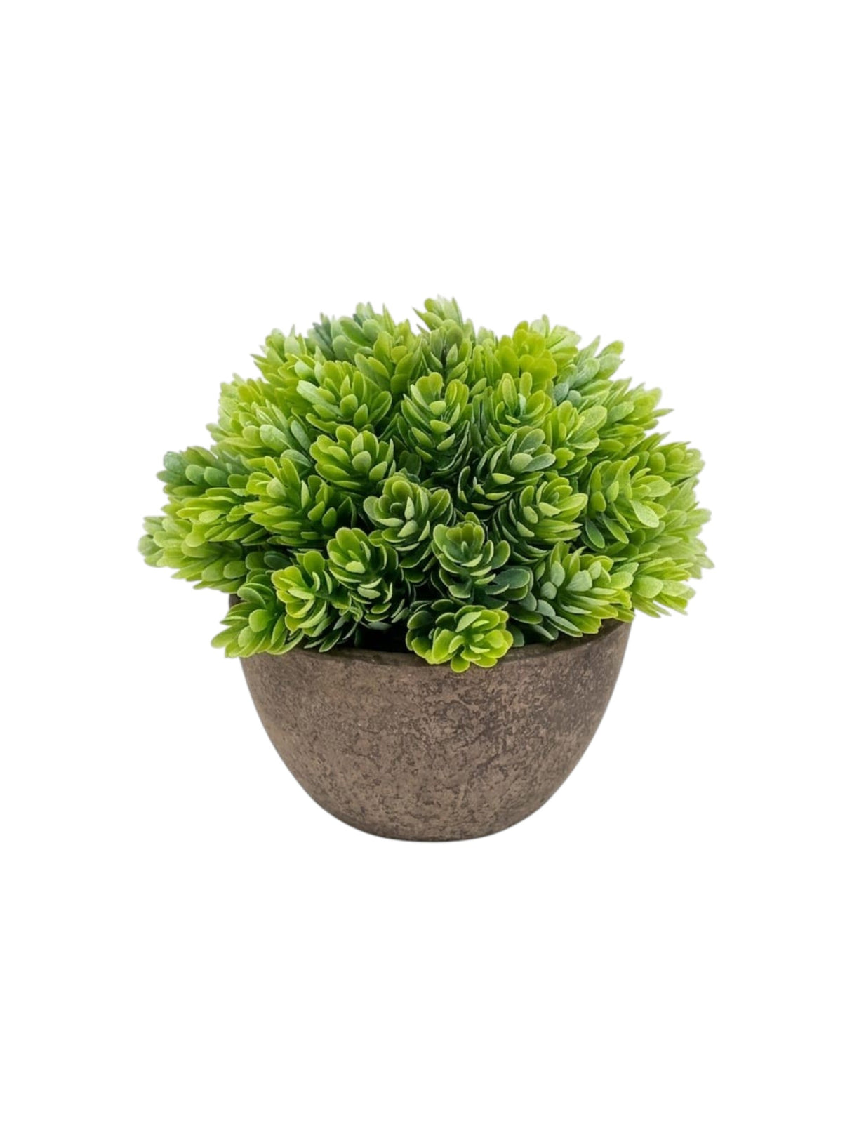 Image for Artificial Plant