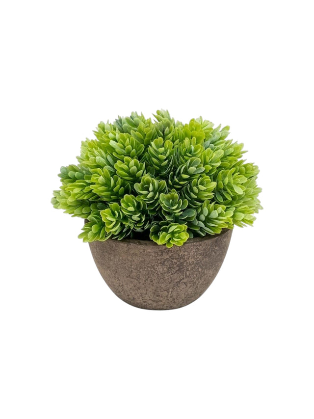 Image for Artificial Plant