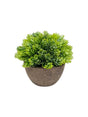 Image for Artificial Plant