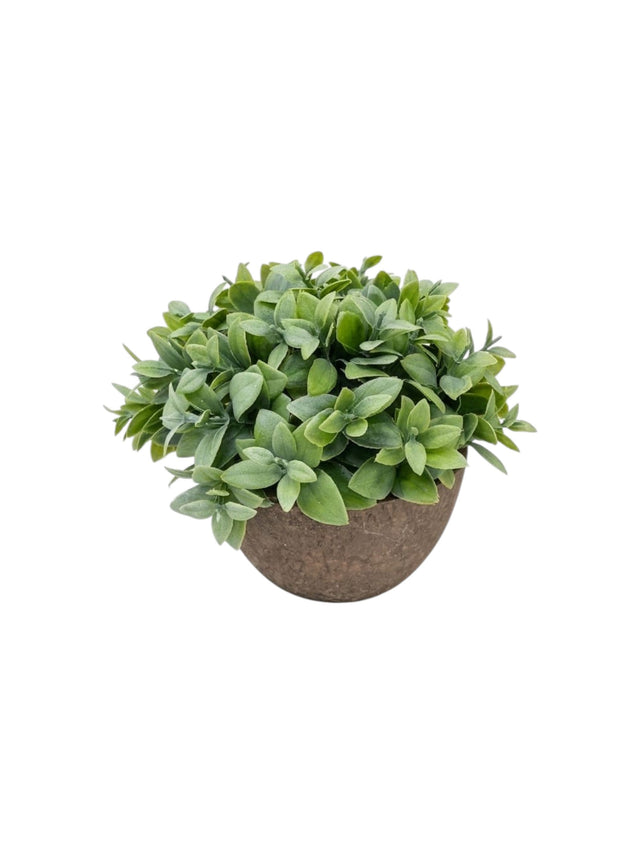 Image for Artificial Plant
