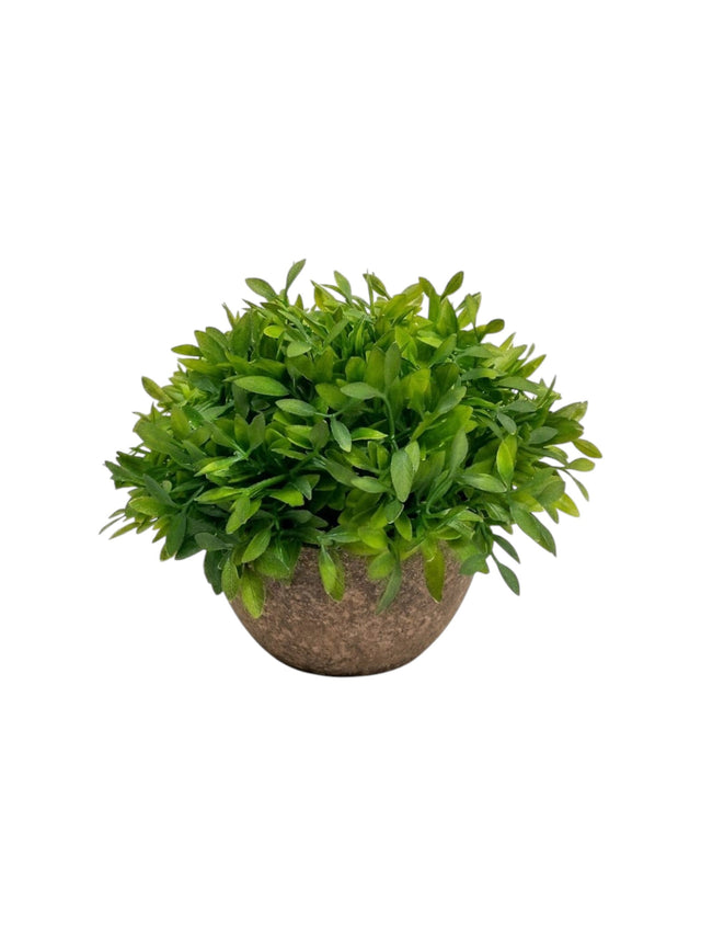 Image for Artificial Plant