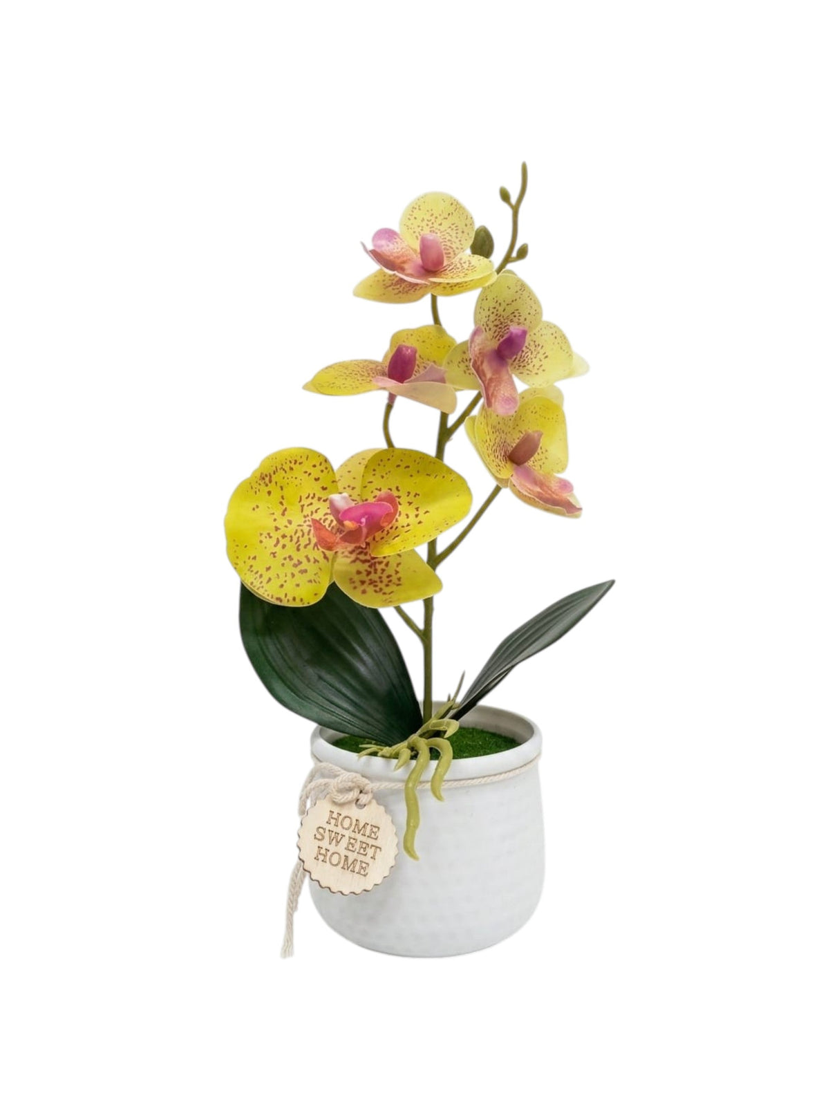 Image for Artificial Plant