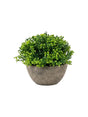 Image for Artificial Plant