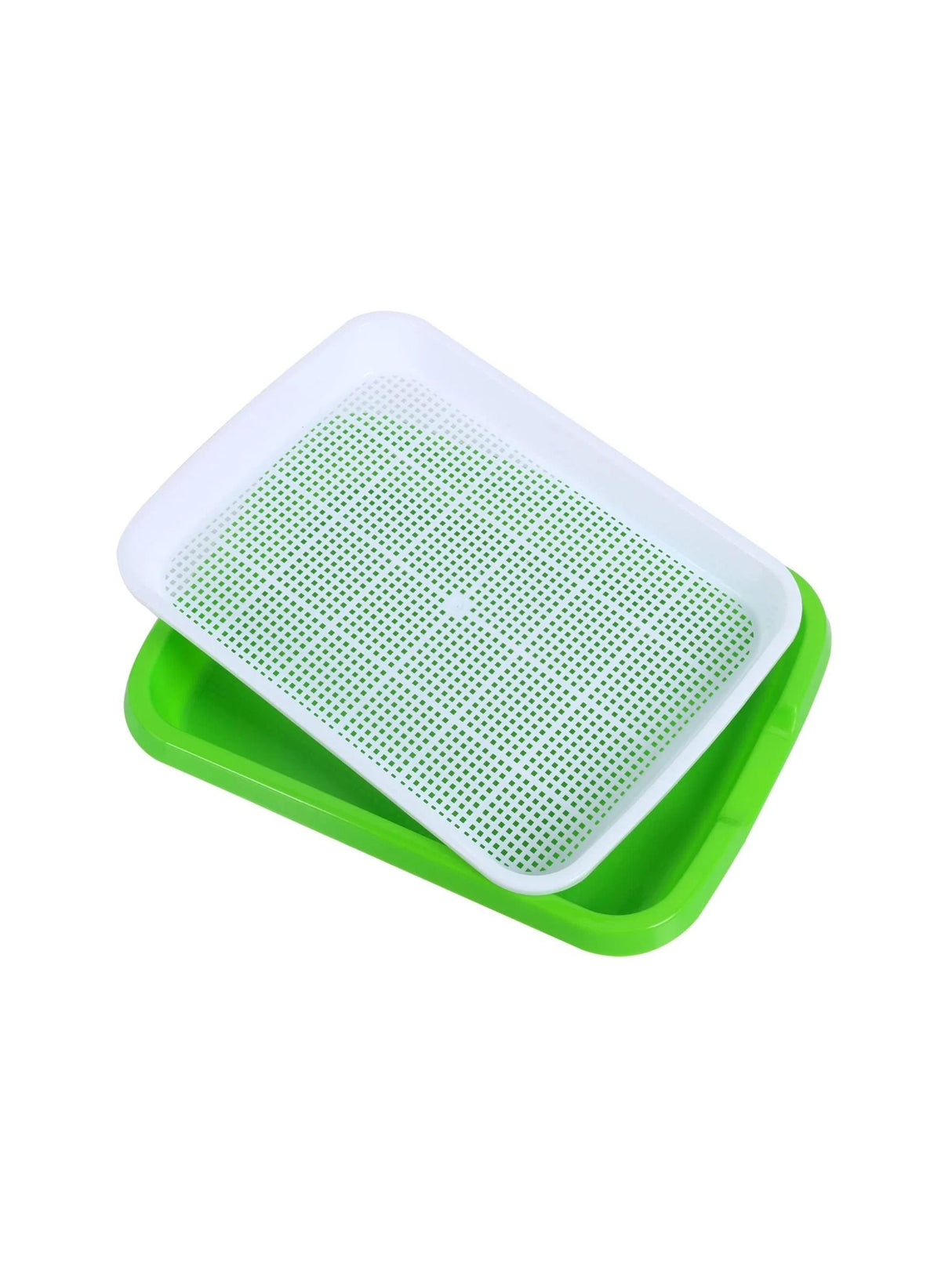 Image for Germination Tray