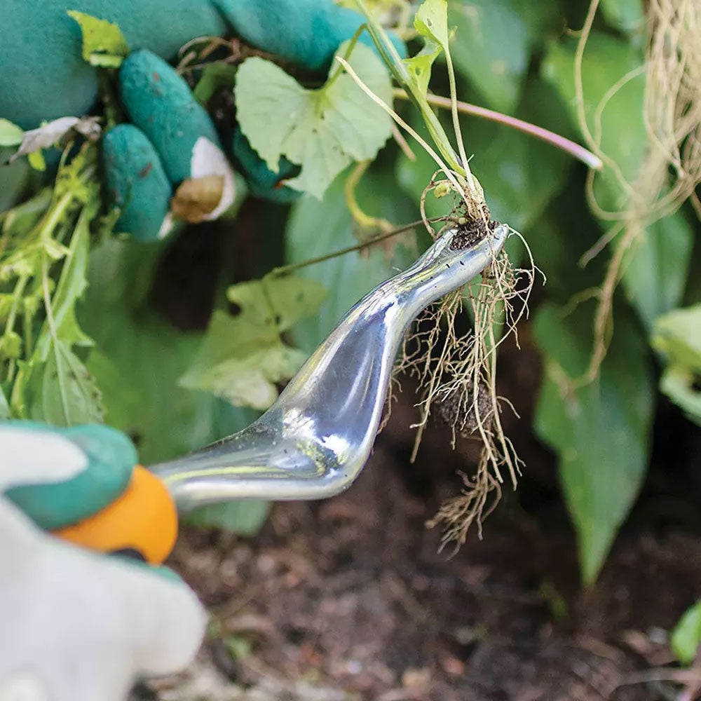 Weeding Desmalezamiento