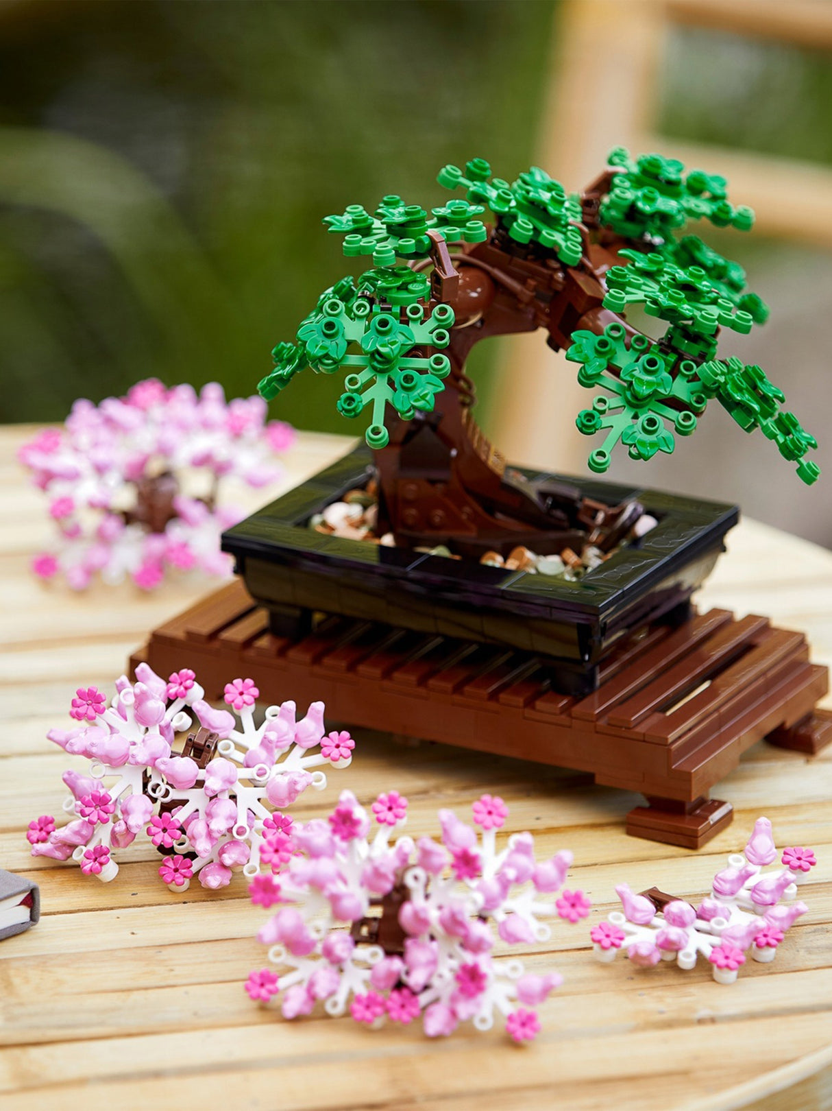 Bonsai Tree